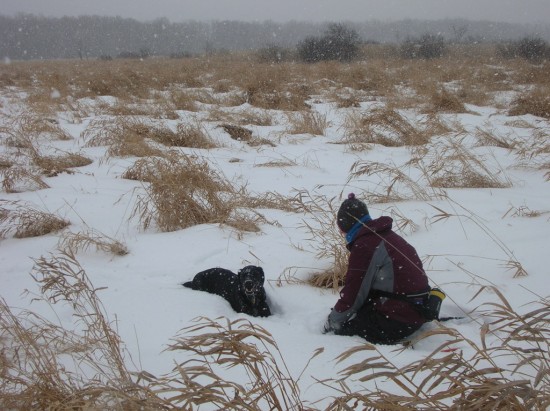 Katie and Lola playing in the snow